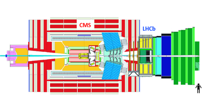 CMS LHCb detector