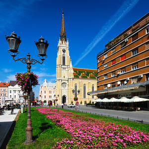 Picture of University of Novi Sad